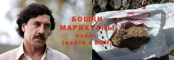 СК Новозыбков
