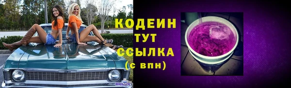 крисы Нягань