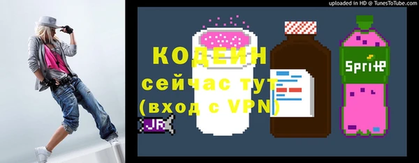 экстази Няндома