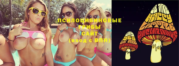 экстази Няндома