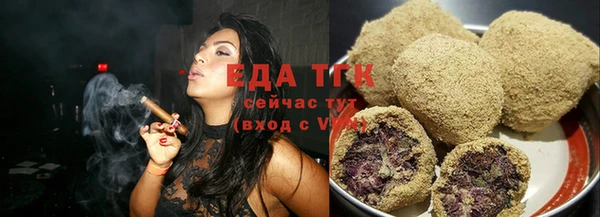 индика Ельня