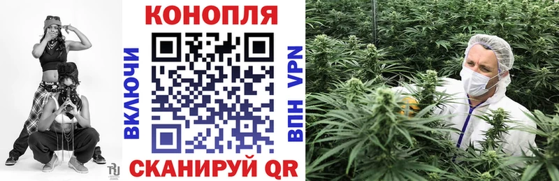 Бошки Шишки OG Kush  Краснослободск 
